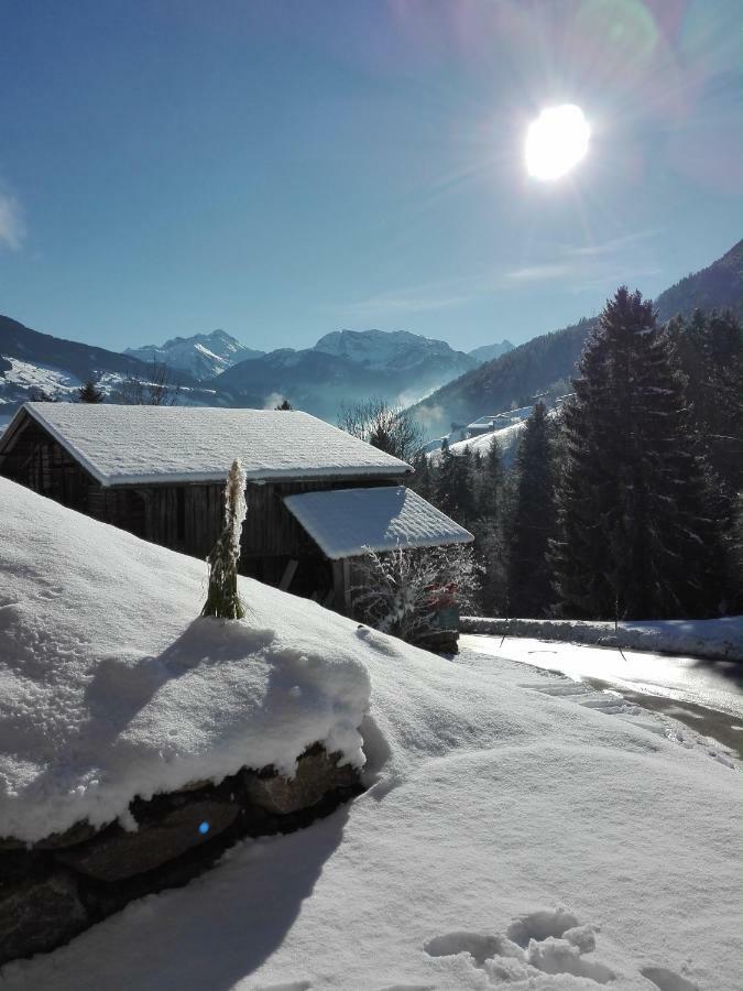 Apart Gerlossteinblick Aschau Im Zillertal Eksteriør bilde